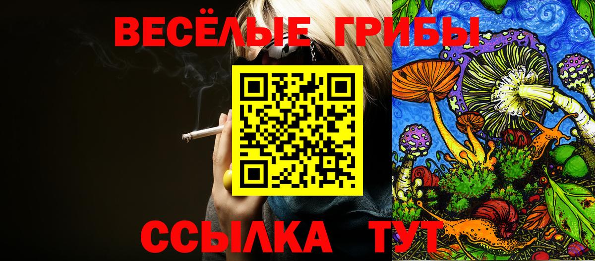 Галлюциногенные грибы Psilocybine cubensis Семёнов