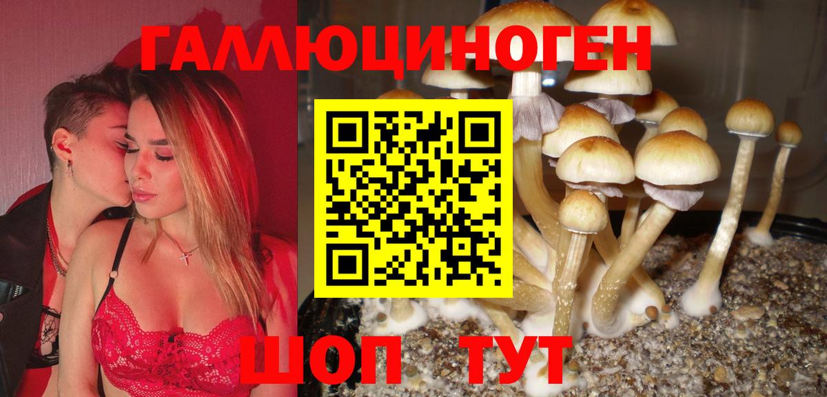 Псилоцибиновые грибы MAGIC MUSHROOMS  Вход с VPN  Семёнов 